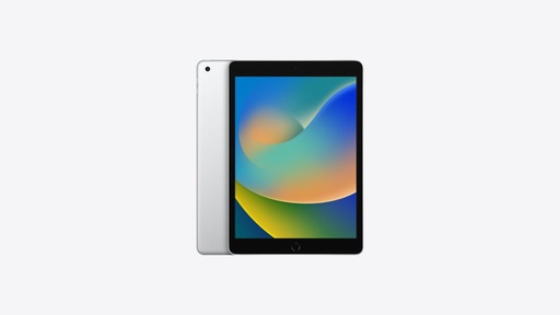 [MK2P3LL/A] Apple iPad 10.2 256GB SIL