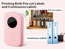 Phomemo D30 Label Maker