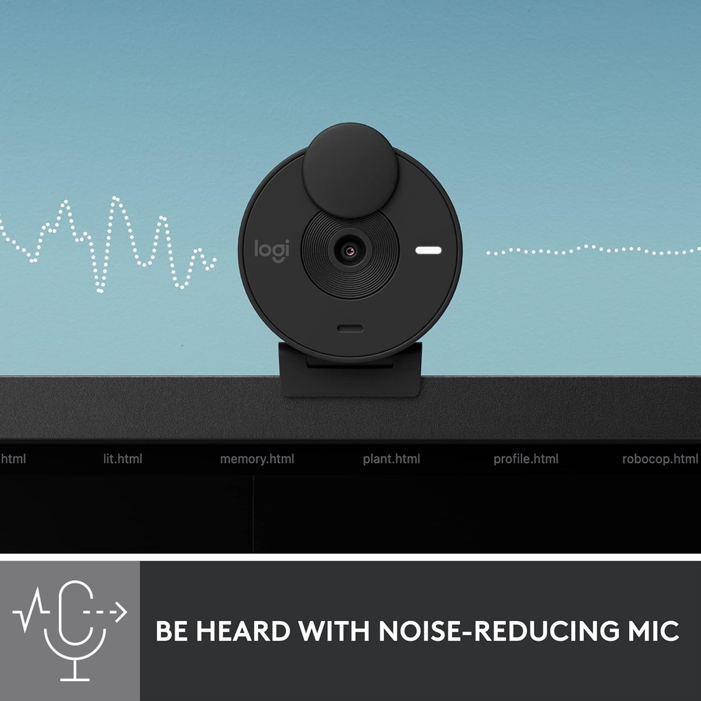 Logitech Brio 300 Webcam Graphite