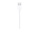 Apple 1M USB-A to Lightning Cable
