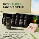 Essential Oil Gift Set