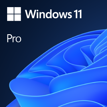 Microsoft Windows 11 Pro - License