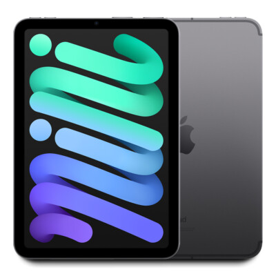 Apple iPad Mini 256GB Wi Fi Space Gray