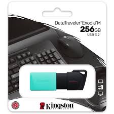 [DTXM/256GB] Kingston Data Traveler Exodia M 256GB USB 3.2
